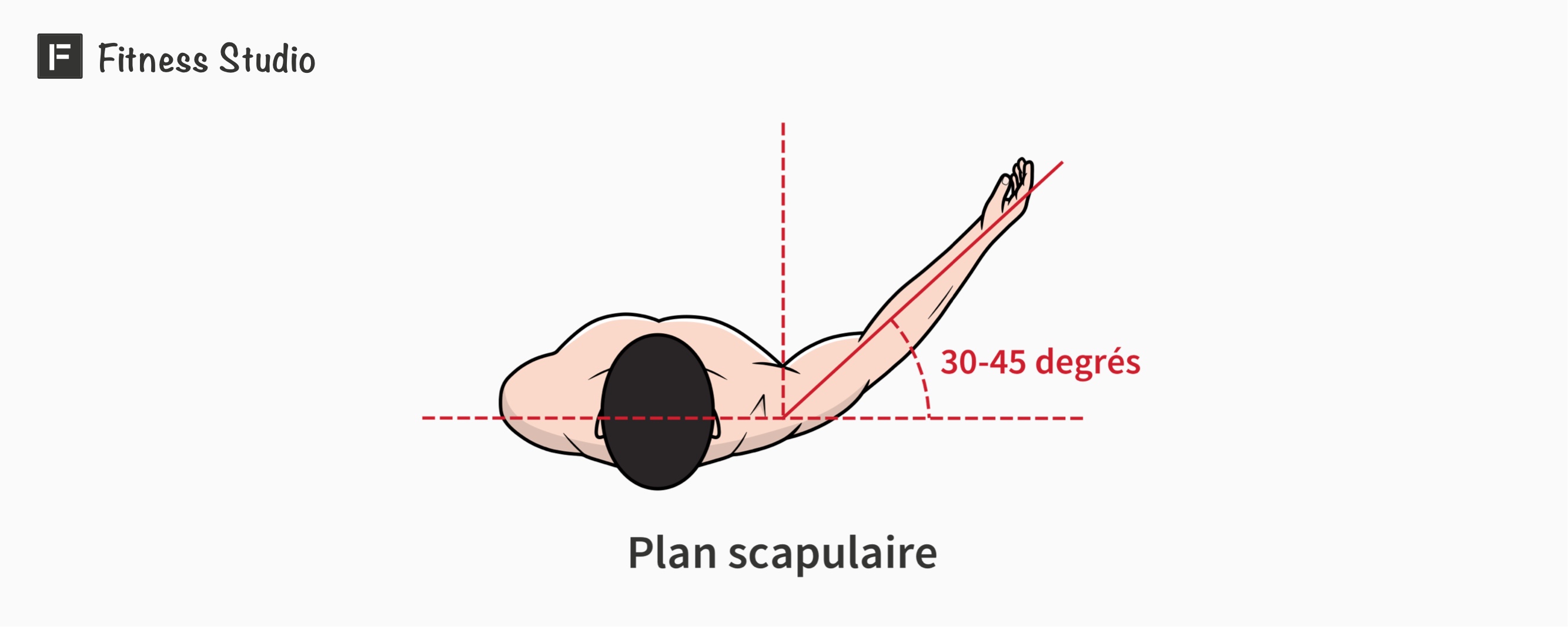 plan scapulaire