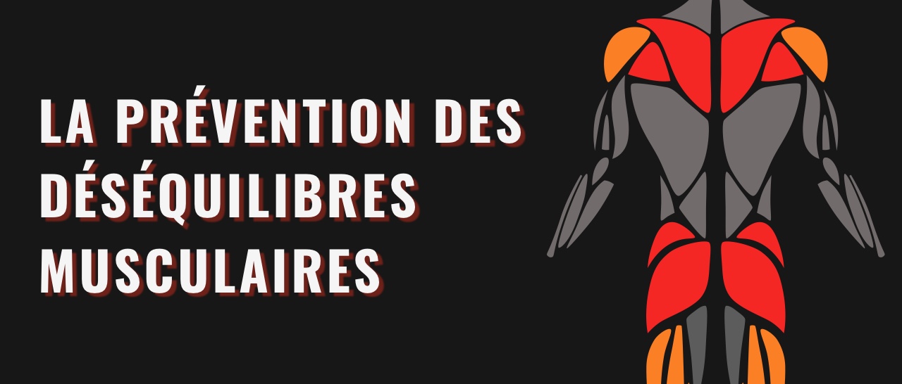 La prévention des déséquilibres musculaires