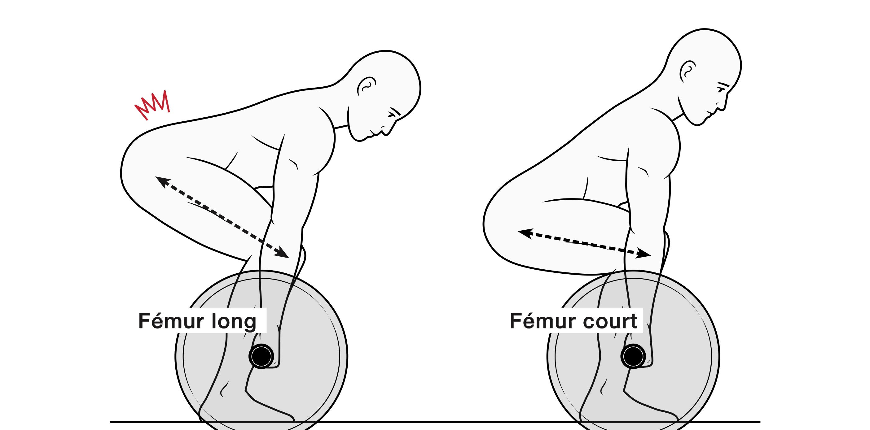 Inclinaison du buste en fonction de sa morphologie au soulevé de terre