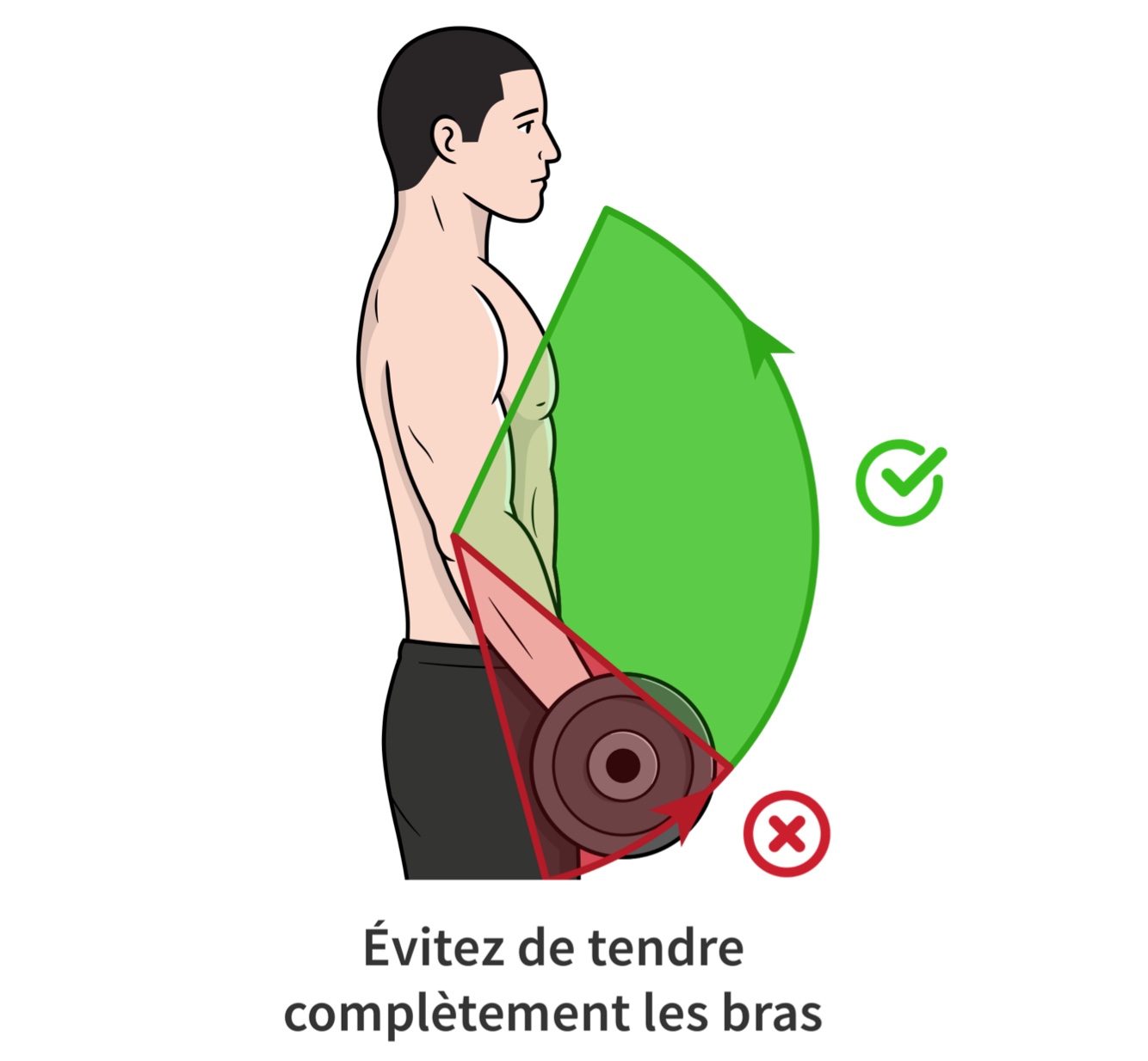 Amplitude de mouvement au biceps curl