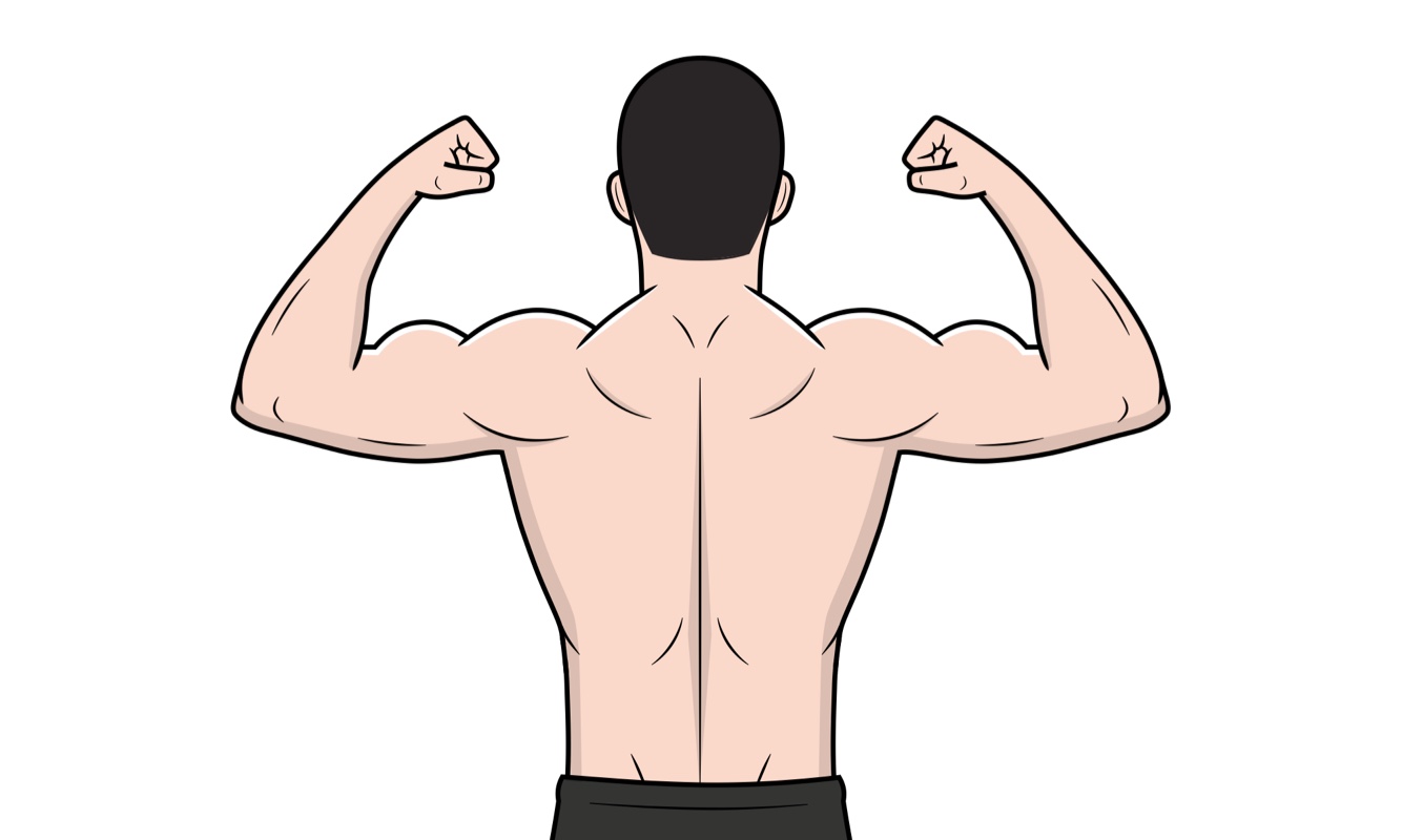 Développer un dos puissant et musclé