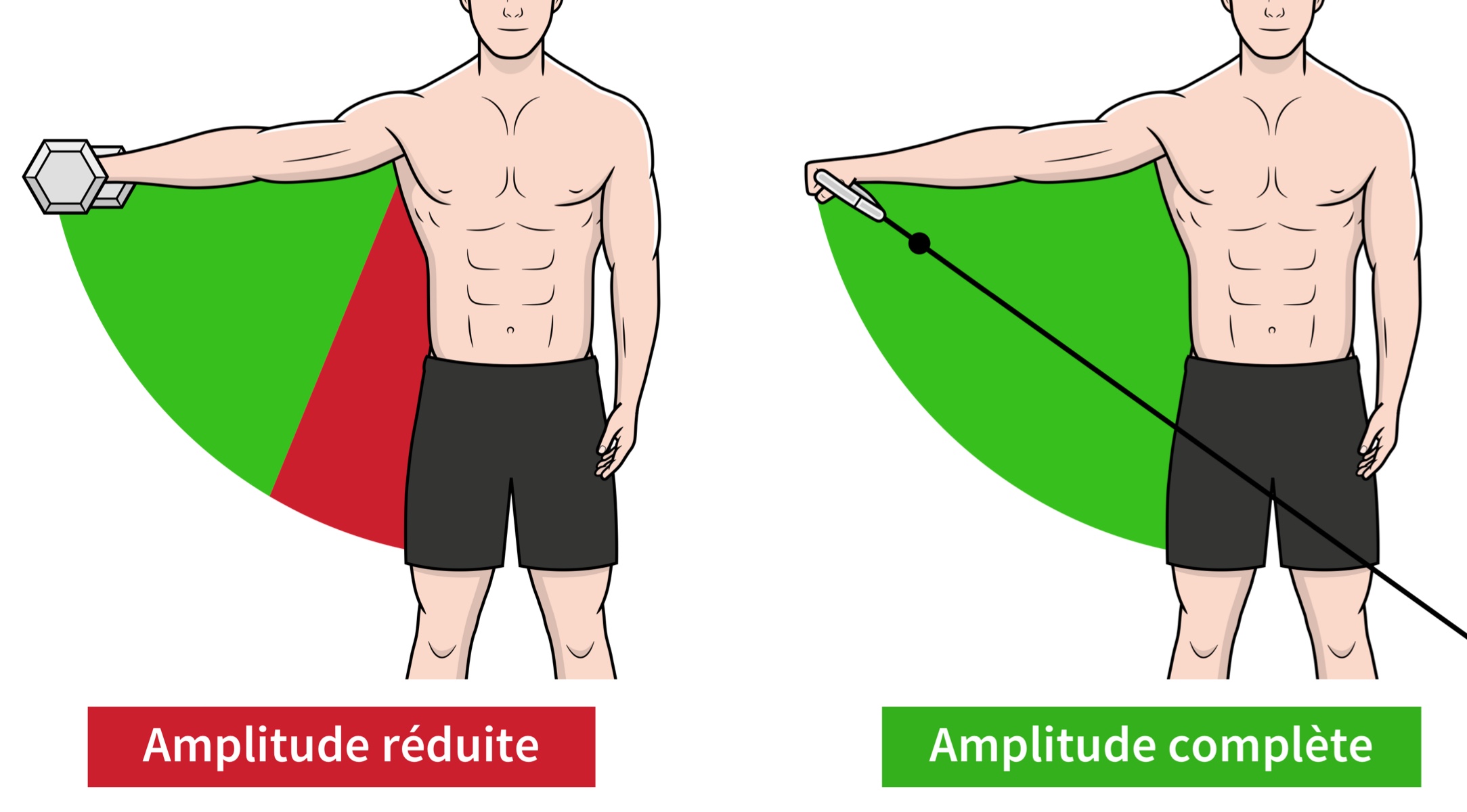 Quelle est la meilleure version des élévations latérales ?