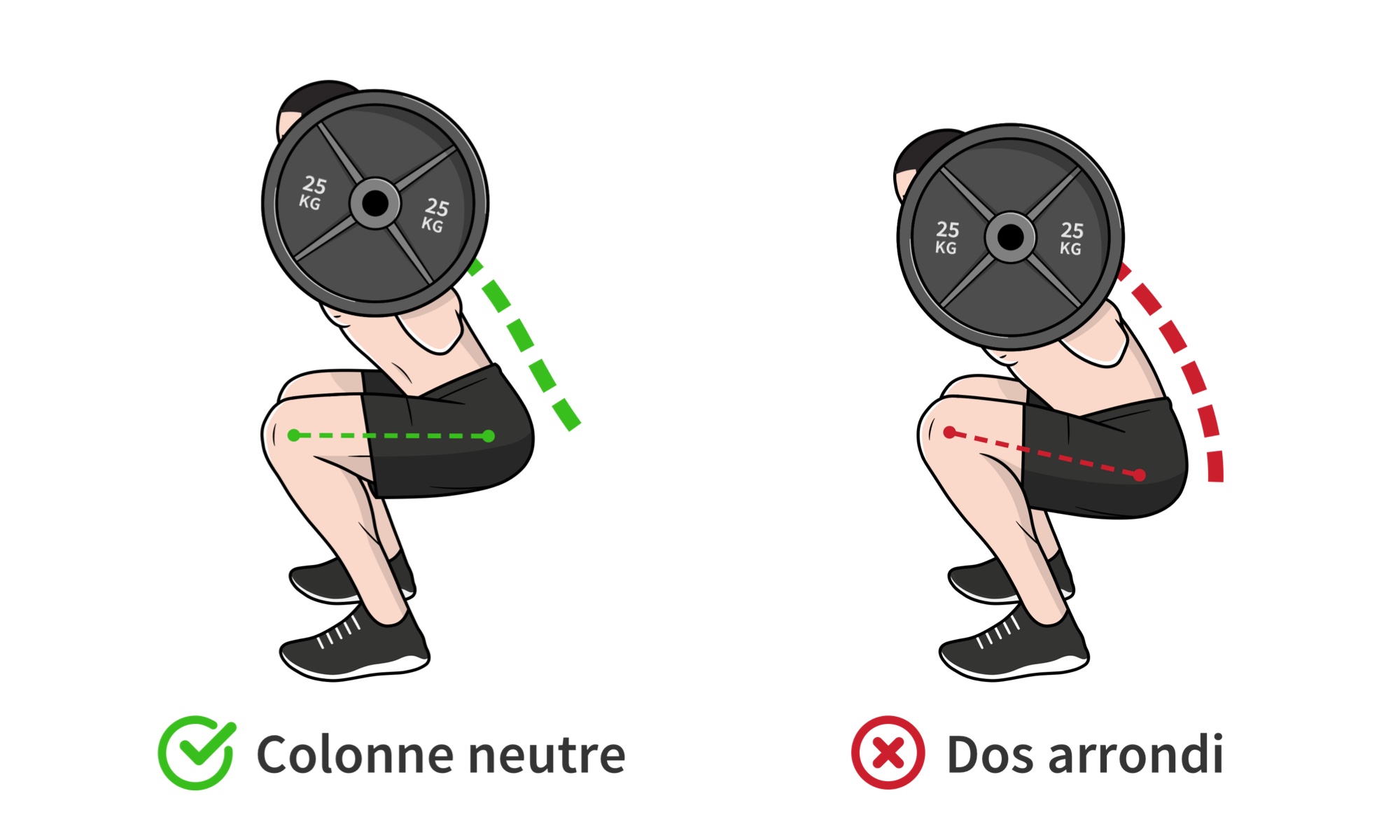 Placement du dos pendant l’exécution du squat