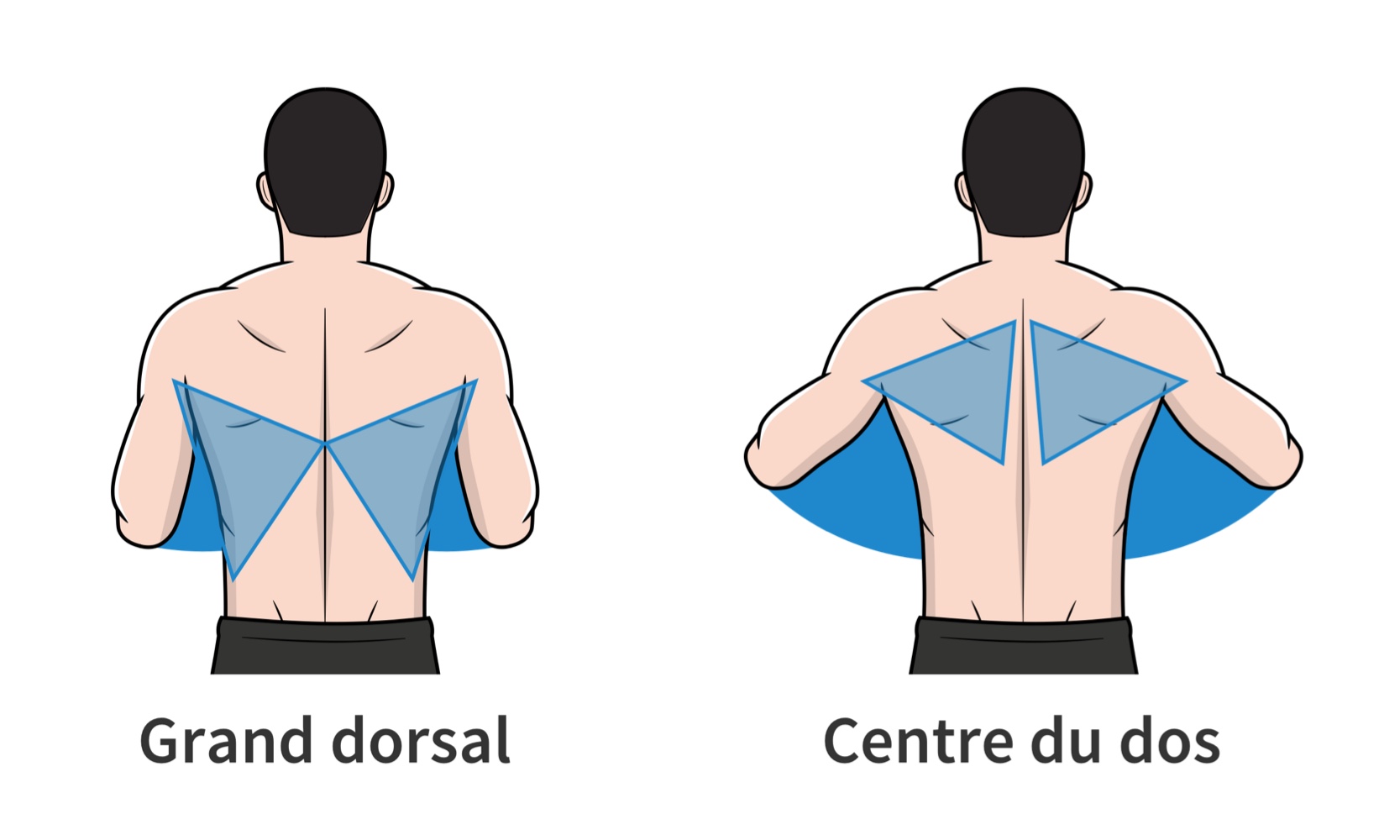 Position des coudes lors de l’exécution du rowing