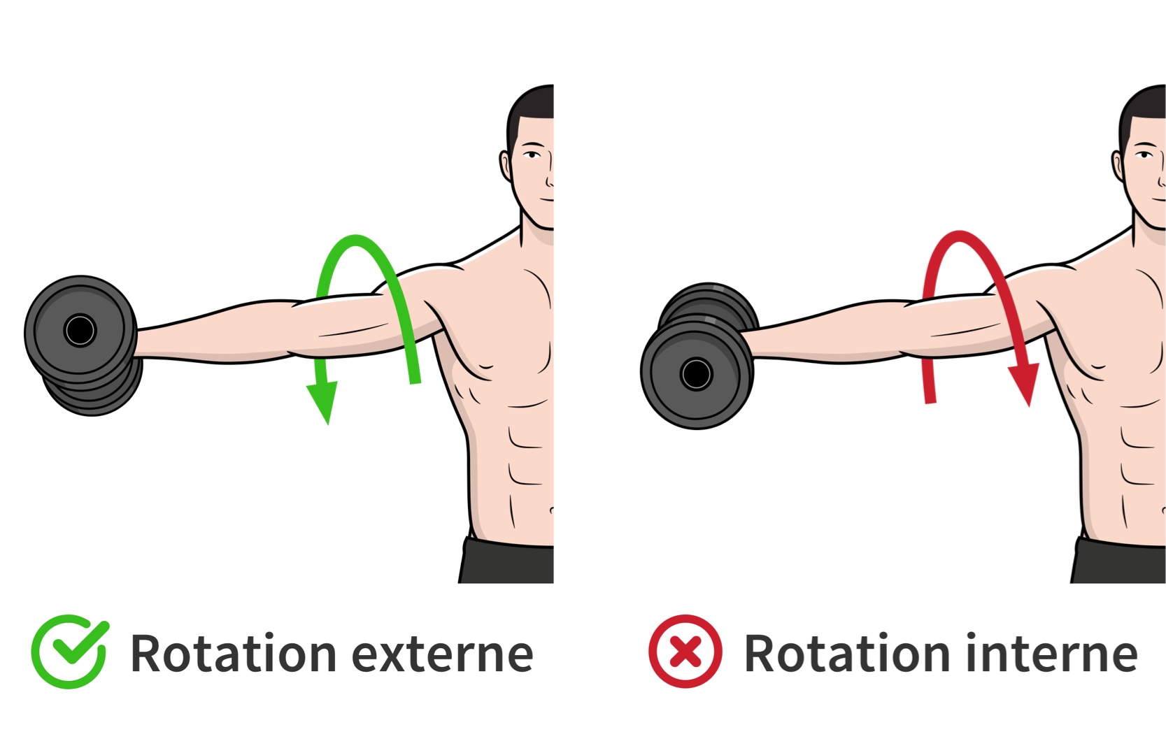 La position des mains aux élévations latérales