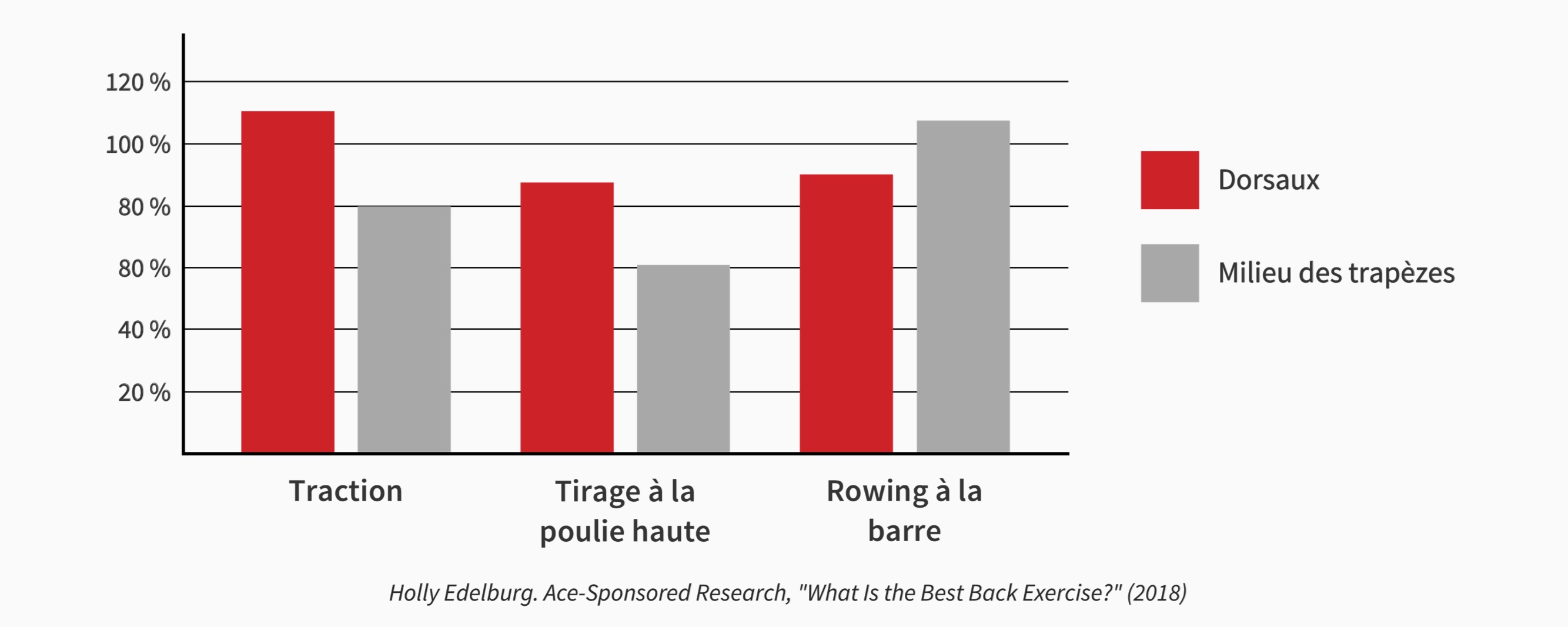 Activation des muscles du dos pour différents exercices de tirage