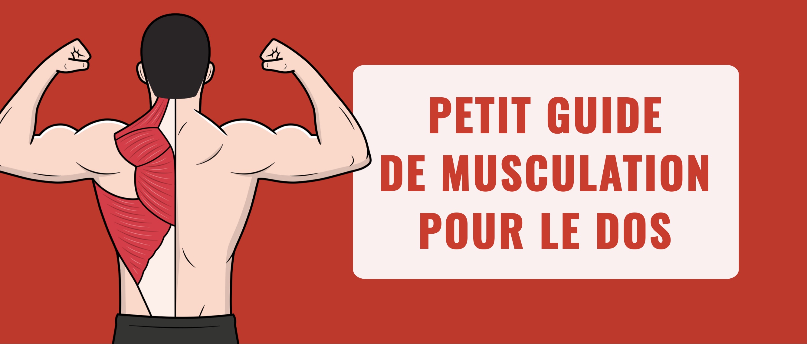 Petit guide de musculation du dos