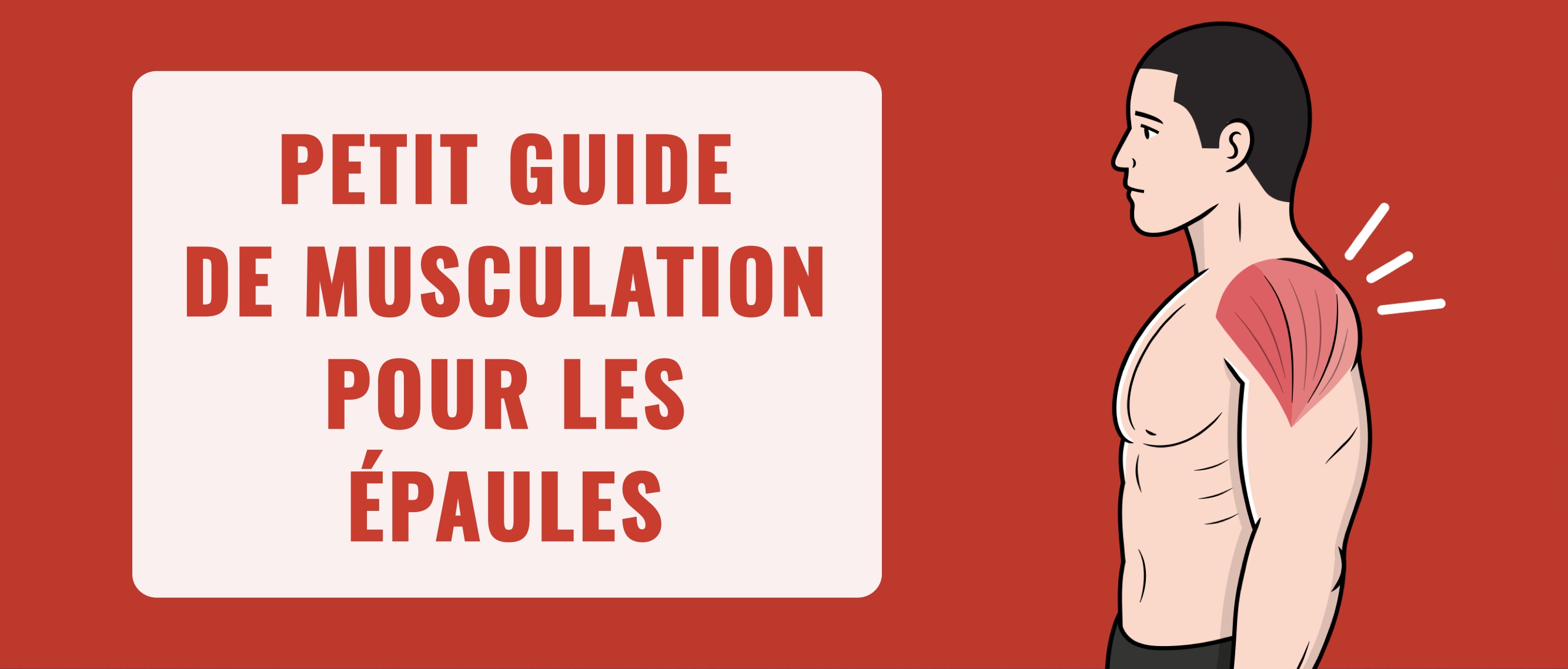 Petit guide de musculation des épaules