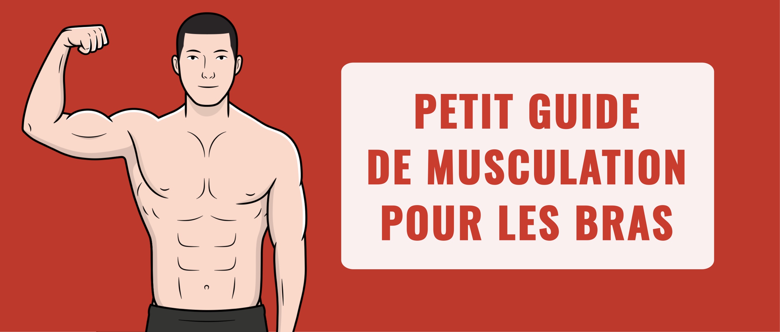 Petit guide de musculation des bras